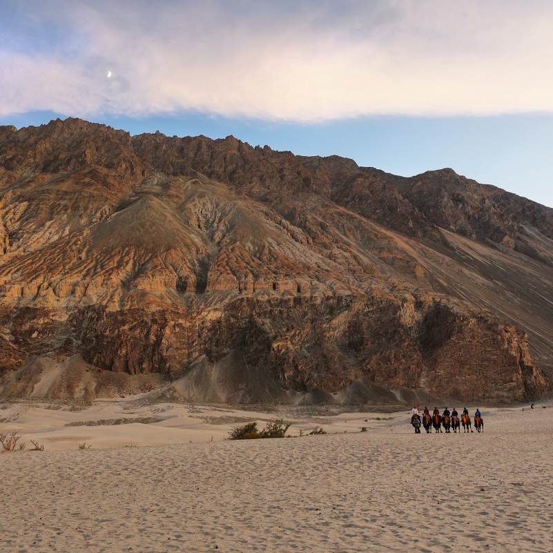 Golden dunes under Ladakh’s blue sky.jpg