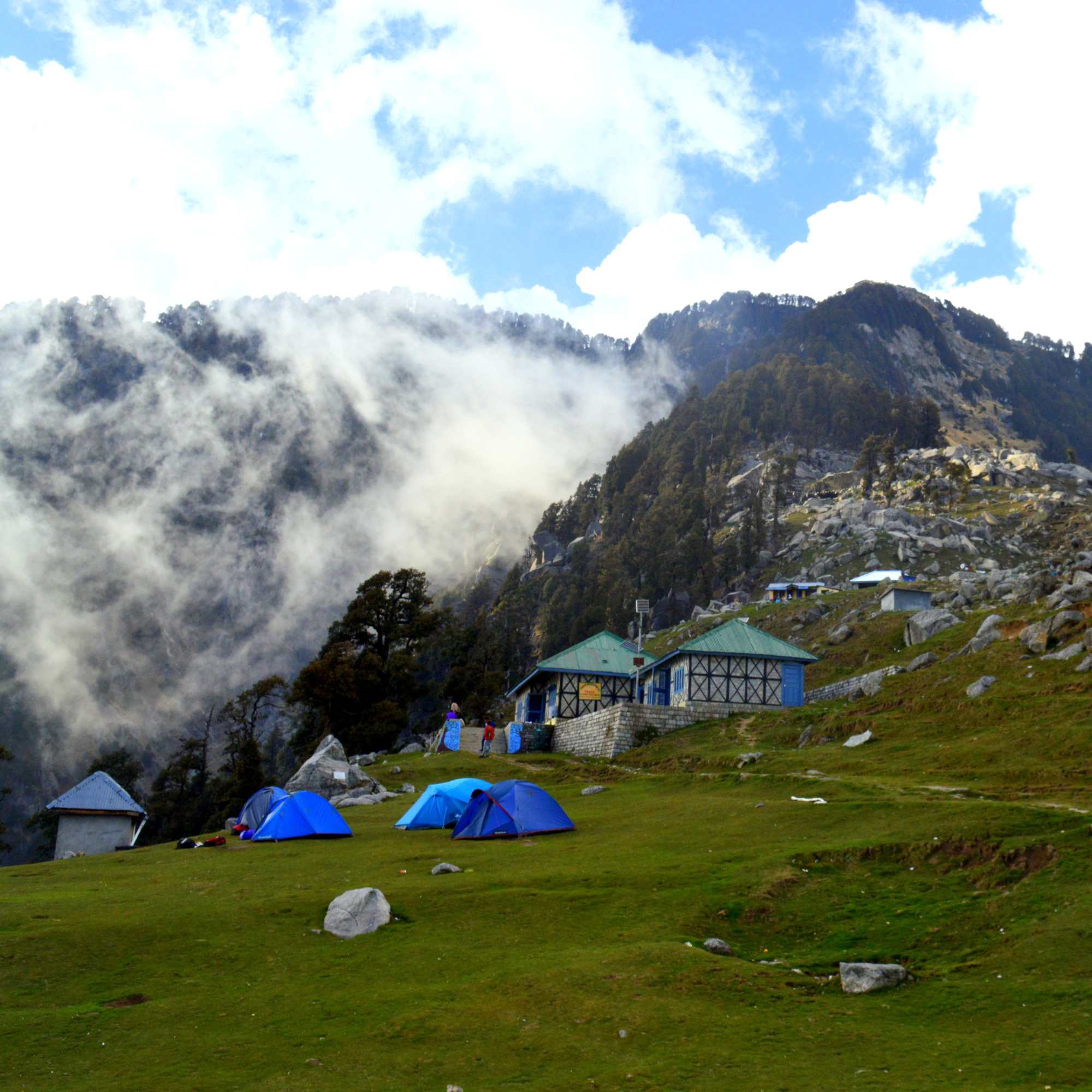 Triund Trek in Dharamshala with scenic views of Dhauladhar Range.jpg