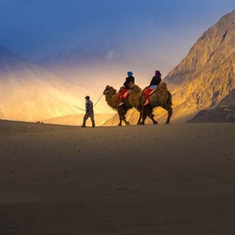 Stark beauty of Ladakh’s cold desert.jpg