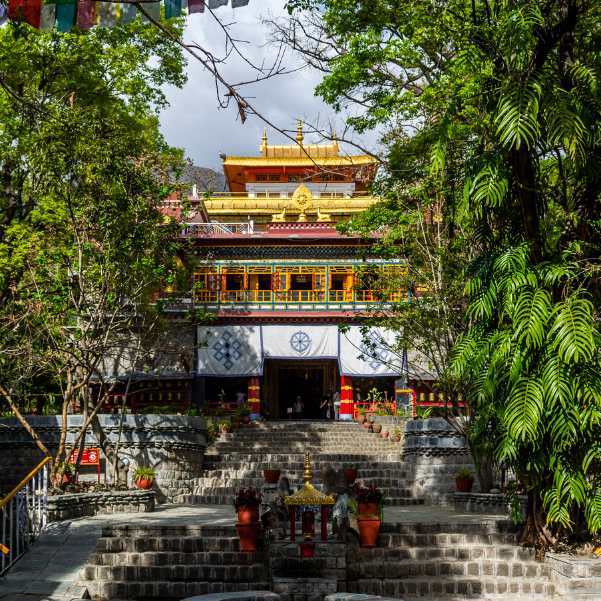 Dharamshala McLeodganj Itinerary for 3 Days (2026 Guide).jpg