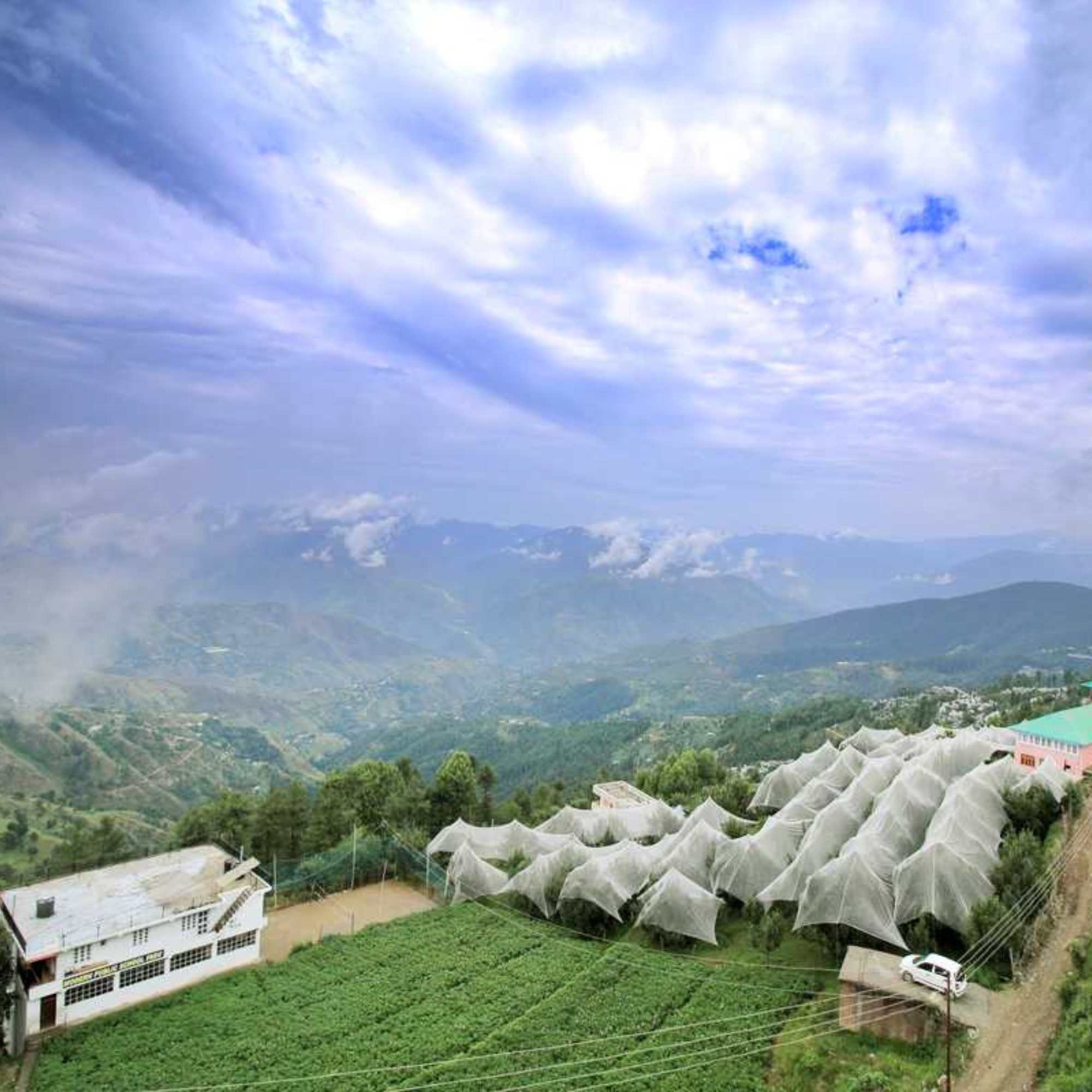 Apple orchards and mountain views in Fagu Himachal Pradesh.jpg