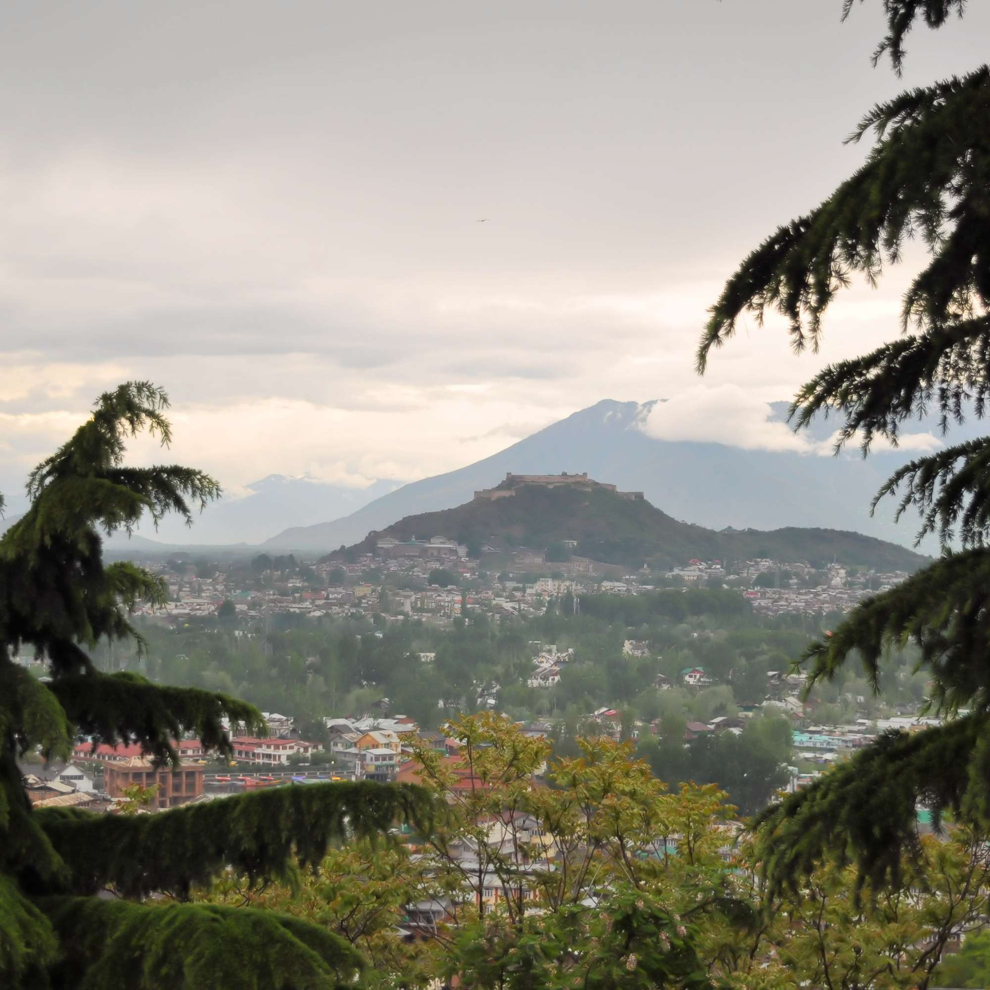 Srinagar