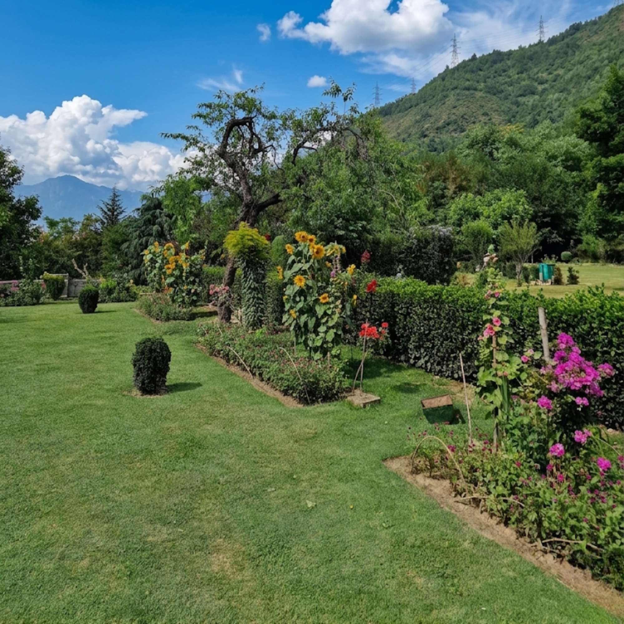 Mughal Gardens Srinagar