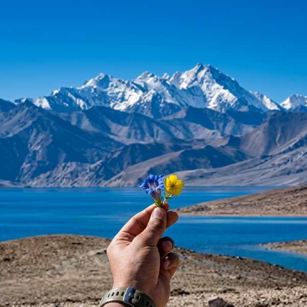 Tso Moriri Lake in July