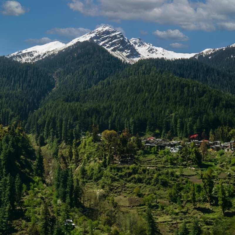 Barshaini