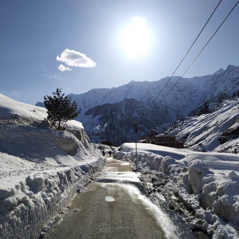 Gulaba, Kothi or the Last Permitted Snow Point