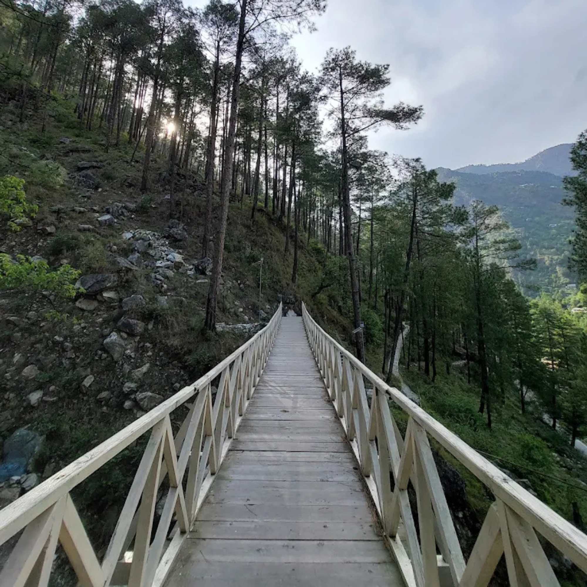 Ropa Forest Complex