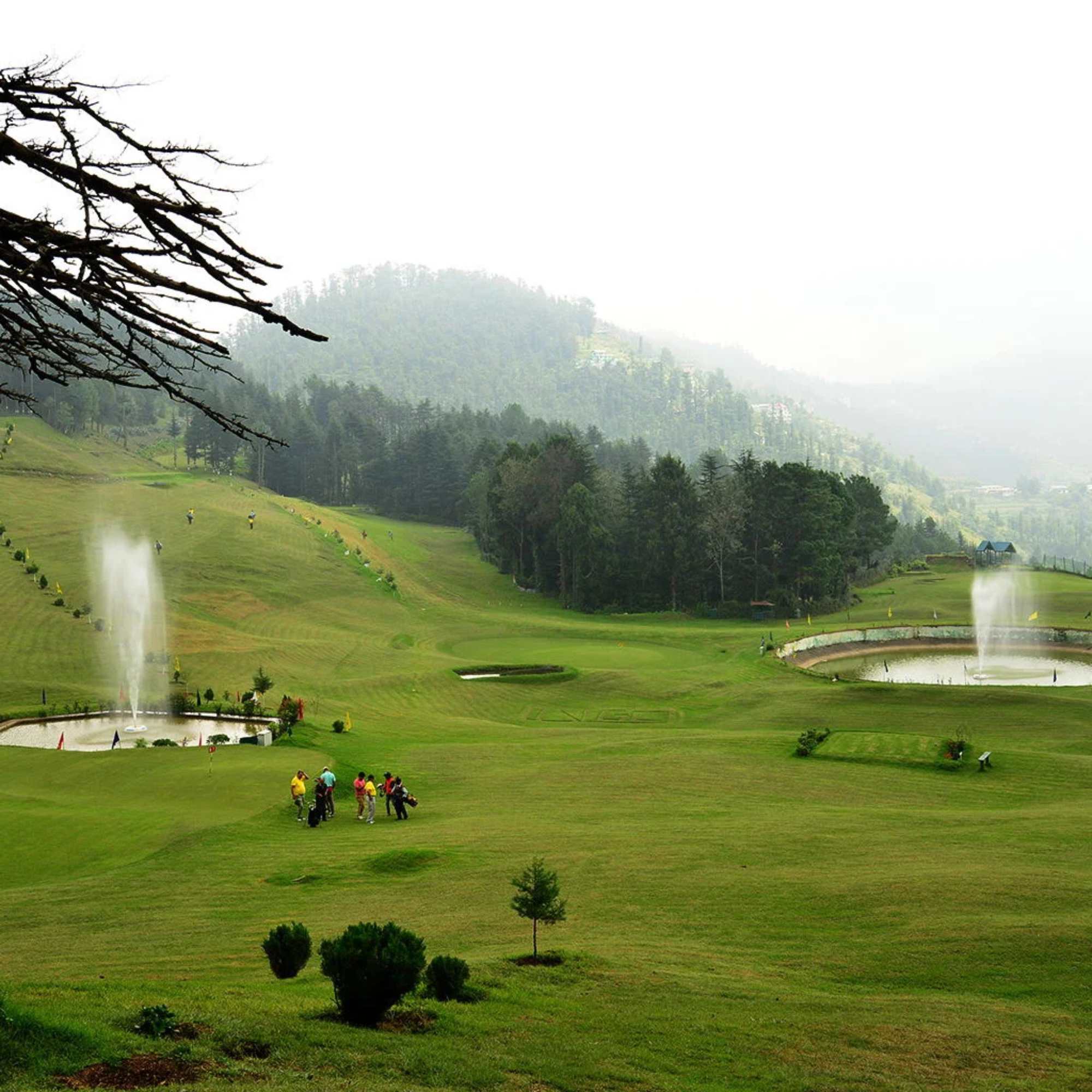Naldehra
