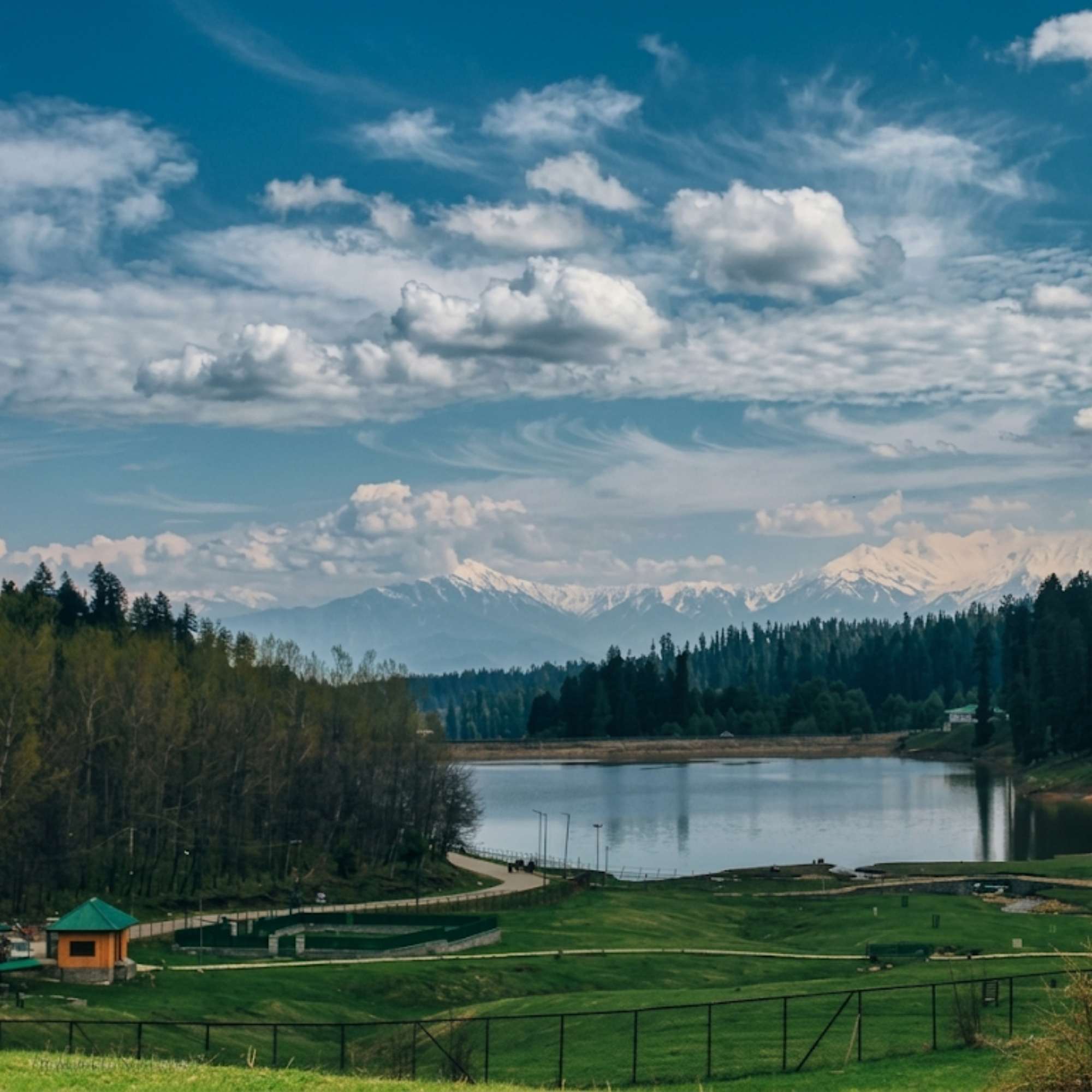 Panoramic view of Yusmarg meadow surrounded by pine forests