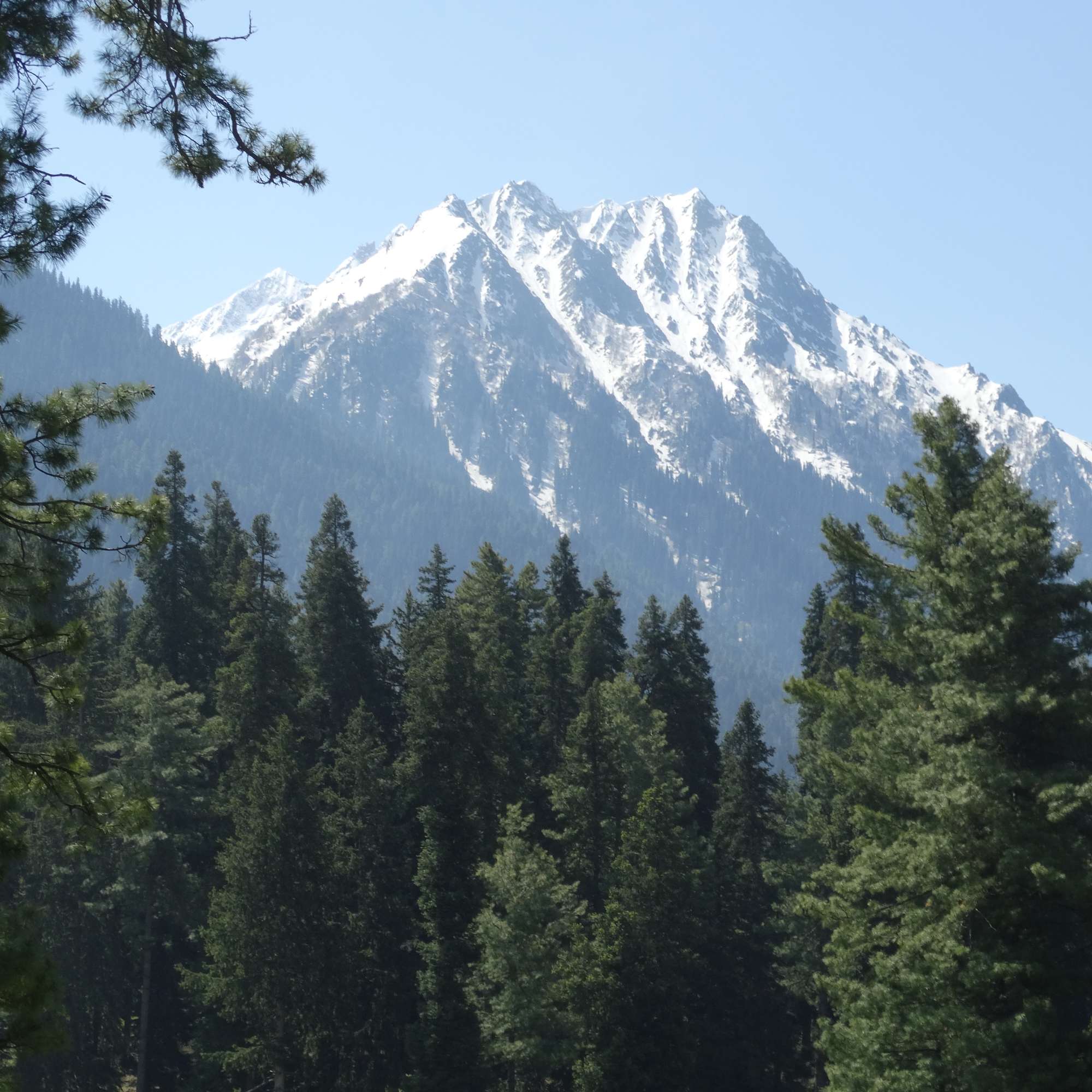 Srinagar