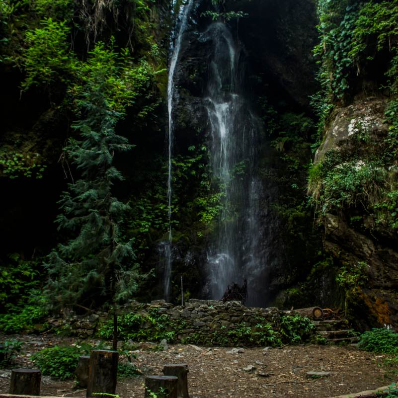 Nature’s calm at Jibhi.jpg