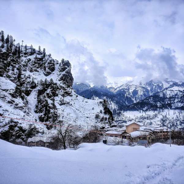 Which Kinnaur Winter Base Suits Couples, Families, Solo Travellers and Workations?
