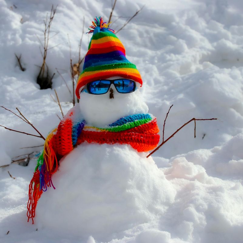Play in the Snow and Build a Snowman