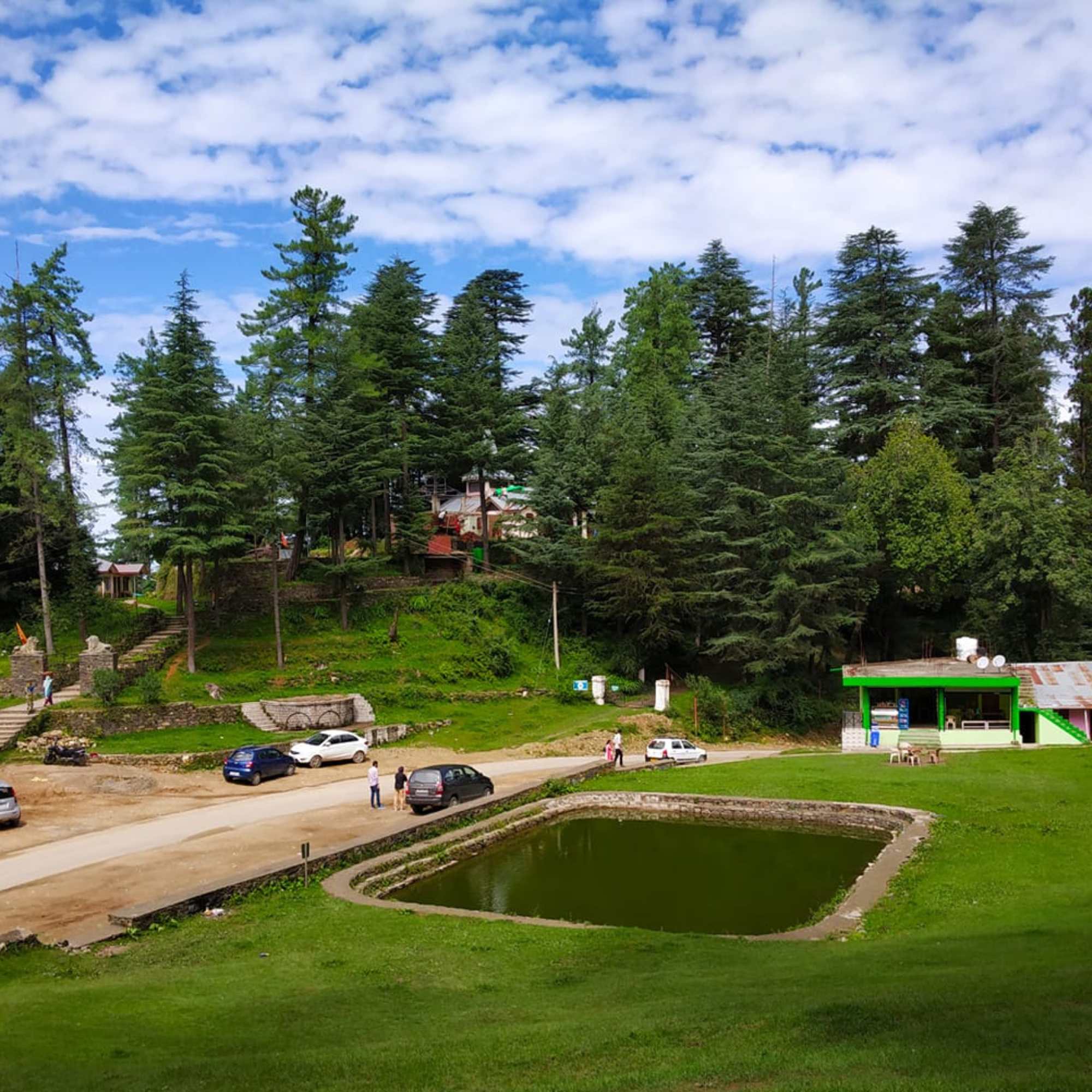 Scenic Mashobra surrounded by lush green forests.jpg