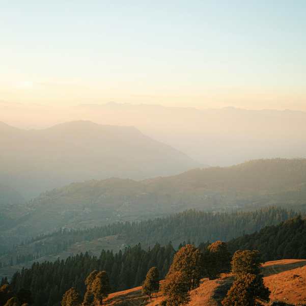 Is Jibhi Good for a Honeymoon or Anniversary Trip.jpg