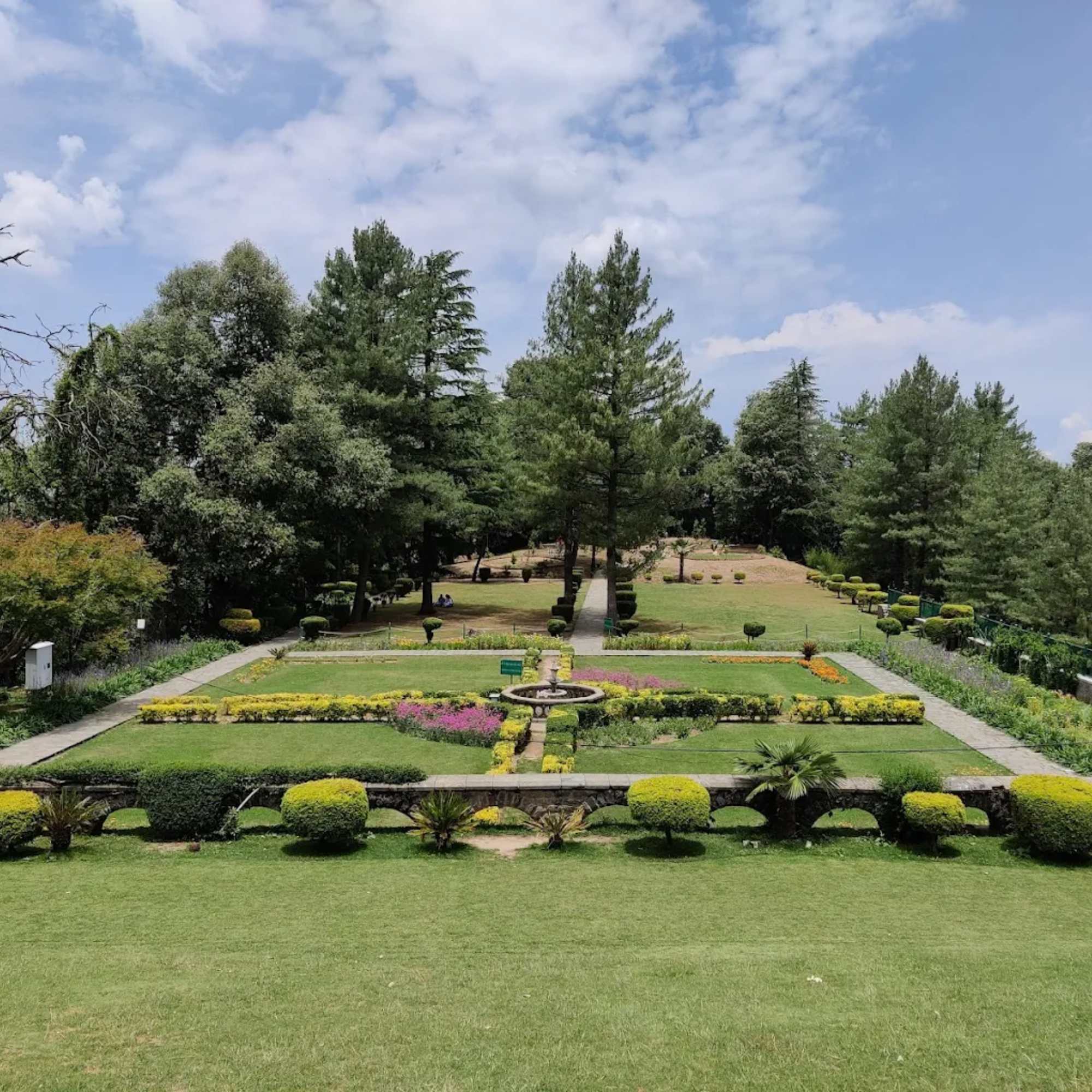 How Far Is Shimla from Delhi and How Long Does the Journey Take?