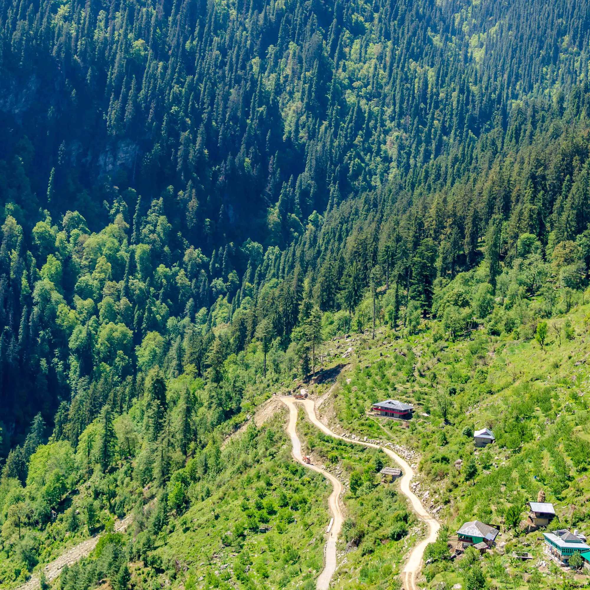 Shainsher Village