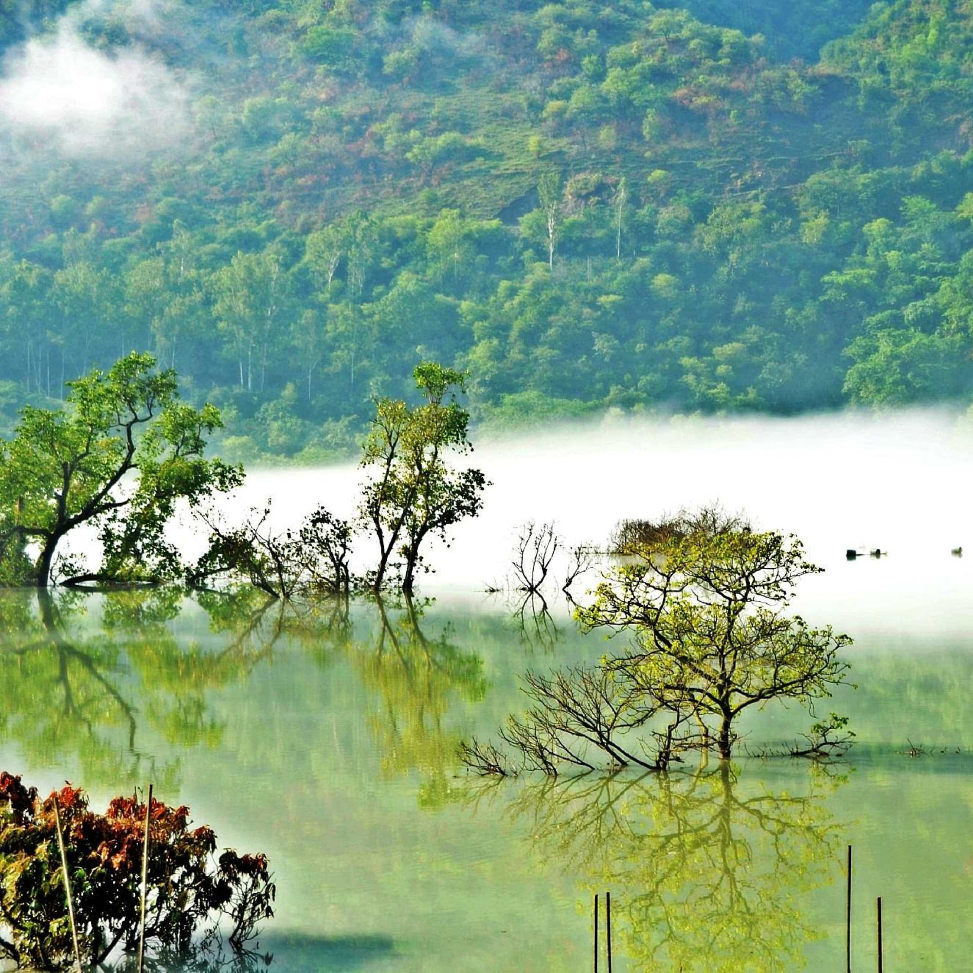 Tattapani Hot Springs