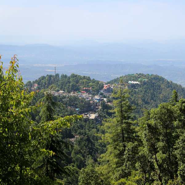 Dharamshala McLeodganj Travel Guide 2026_ Best Places, Itinerary, Costs and Local Tips.jpg