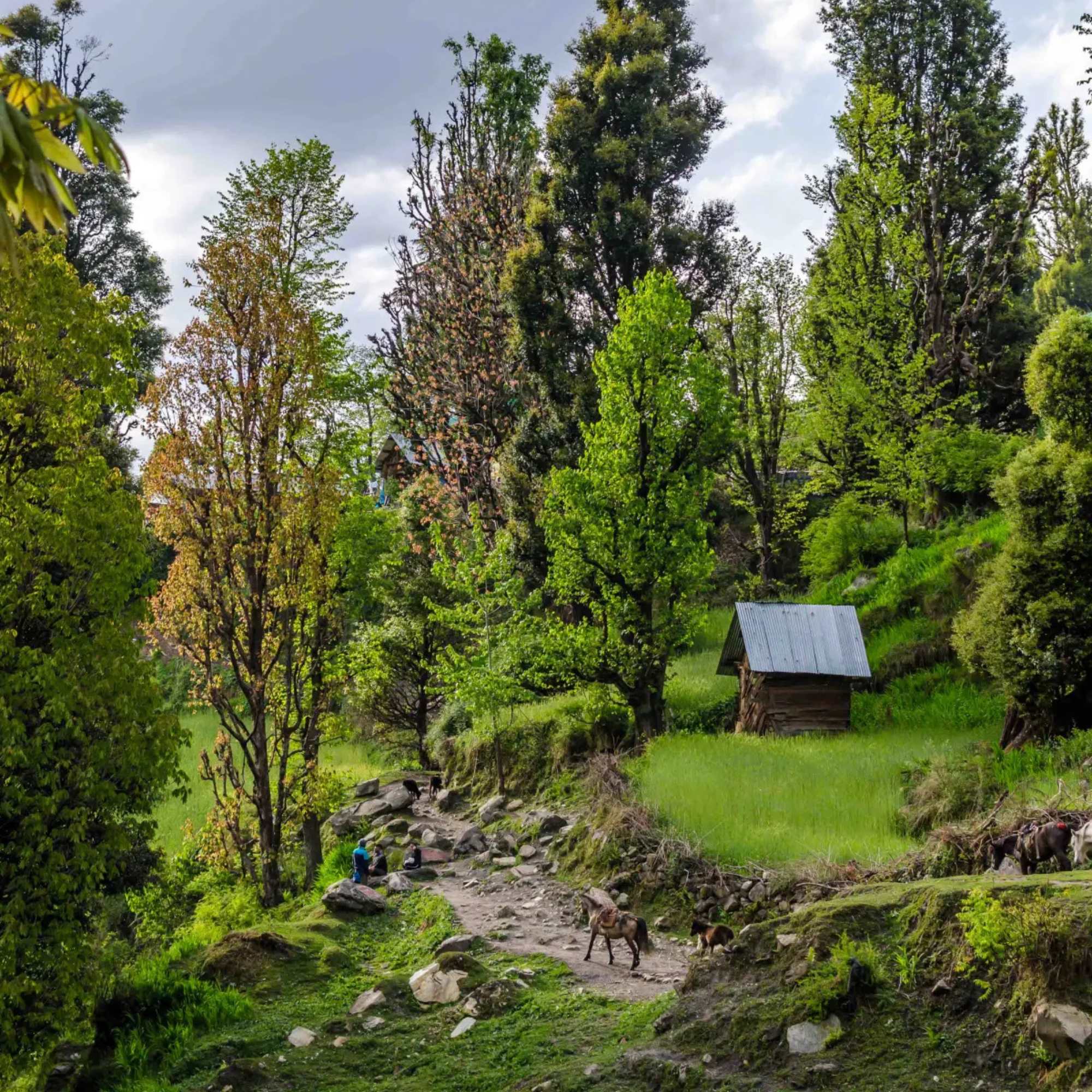 Is the Road to Kasol Open and Safe in 2026?
