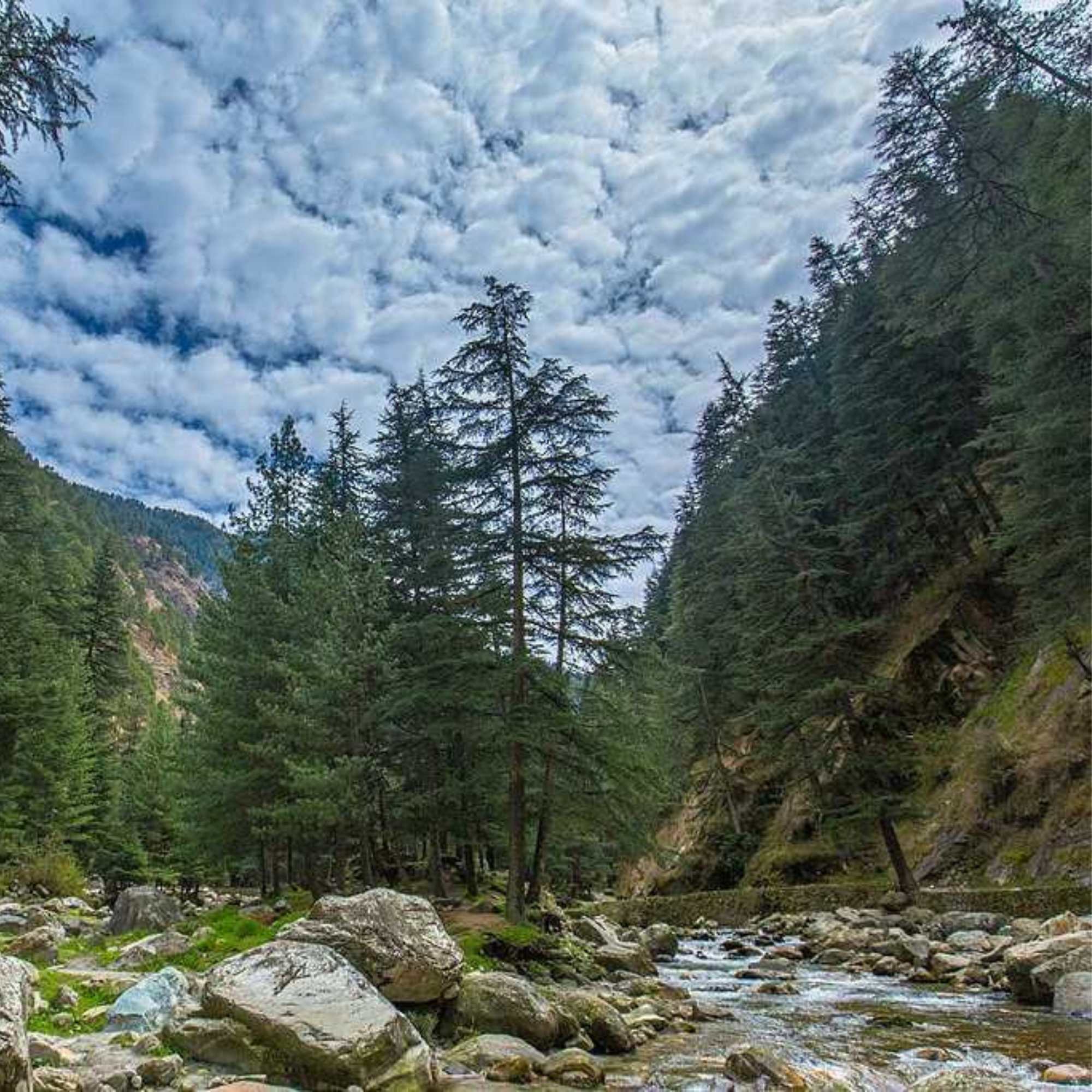 Peaceful landscapes and breathtaking views make Rasol Village a must-visit offbeat destination in Himachal Pradesh.jpg