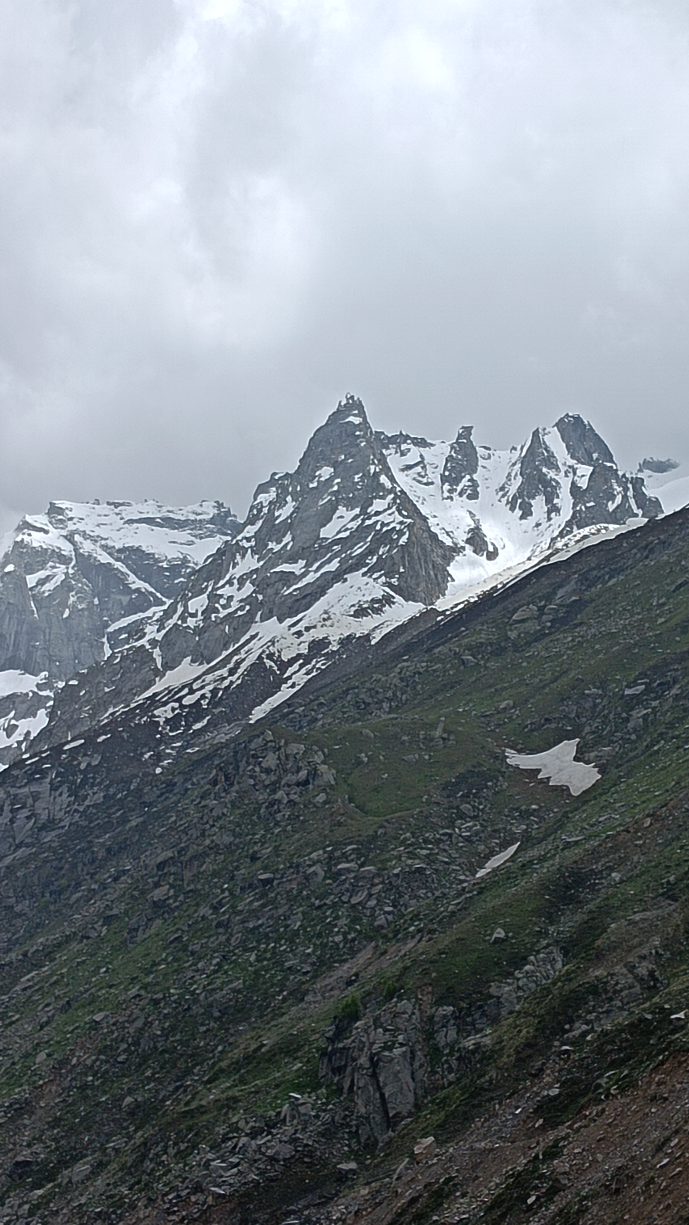 Souresh Saha — photo 4