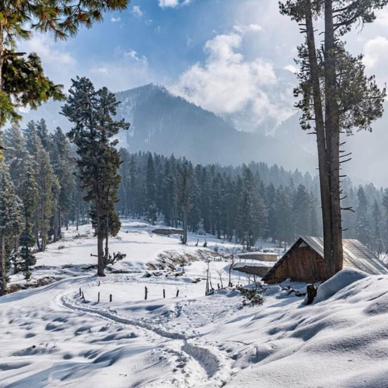 Is Snowfall Guaranteed on Your Kashmir Travel Dates.jpg