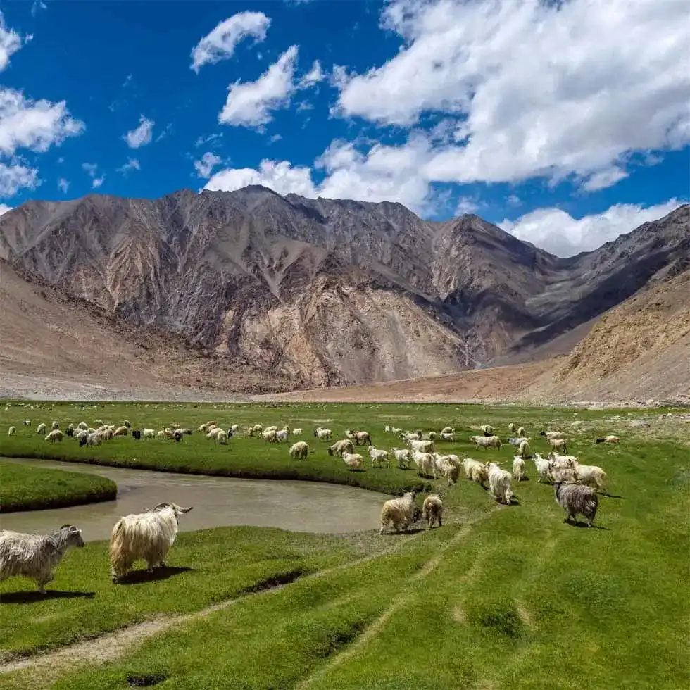 Leh Ladakh Short Getaway