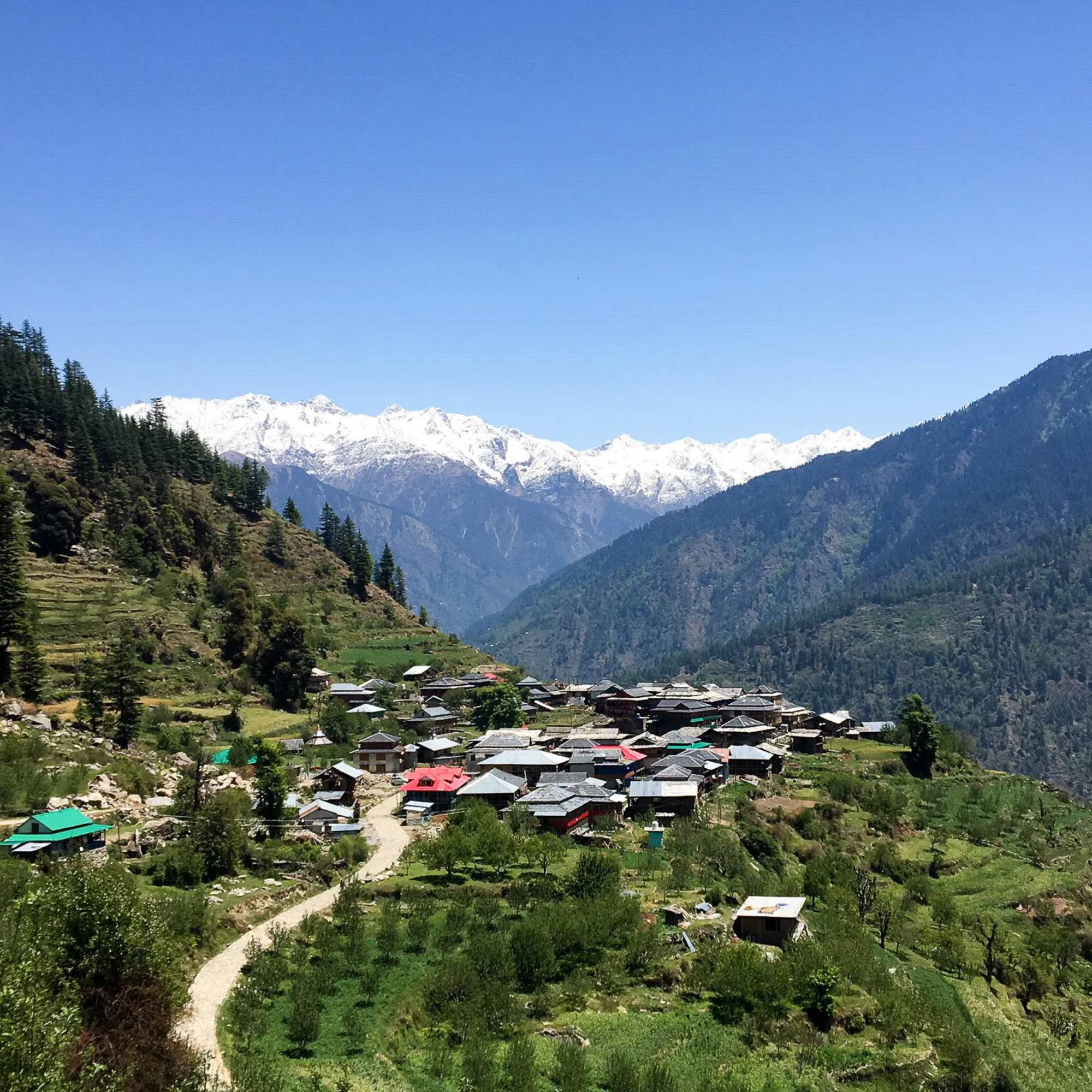 Shainsher Village