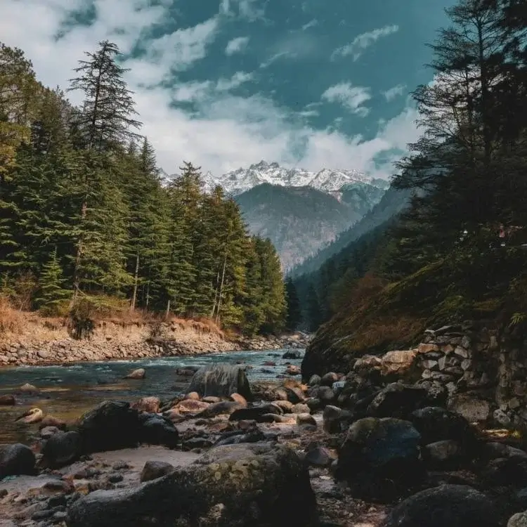 Manali Kasol Bir Paragliding Luxe Escape .webp