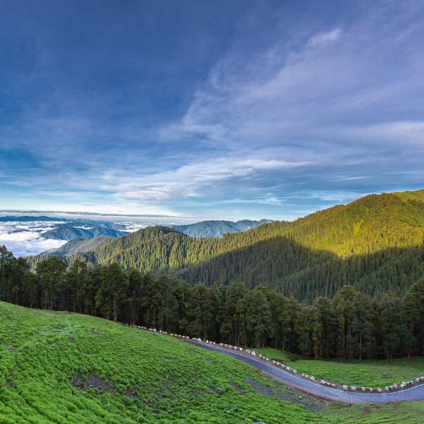 Are the roads to Jibhi and Jalori Pass open in August?