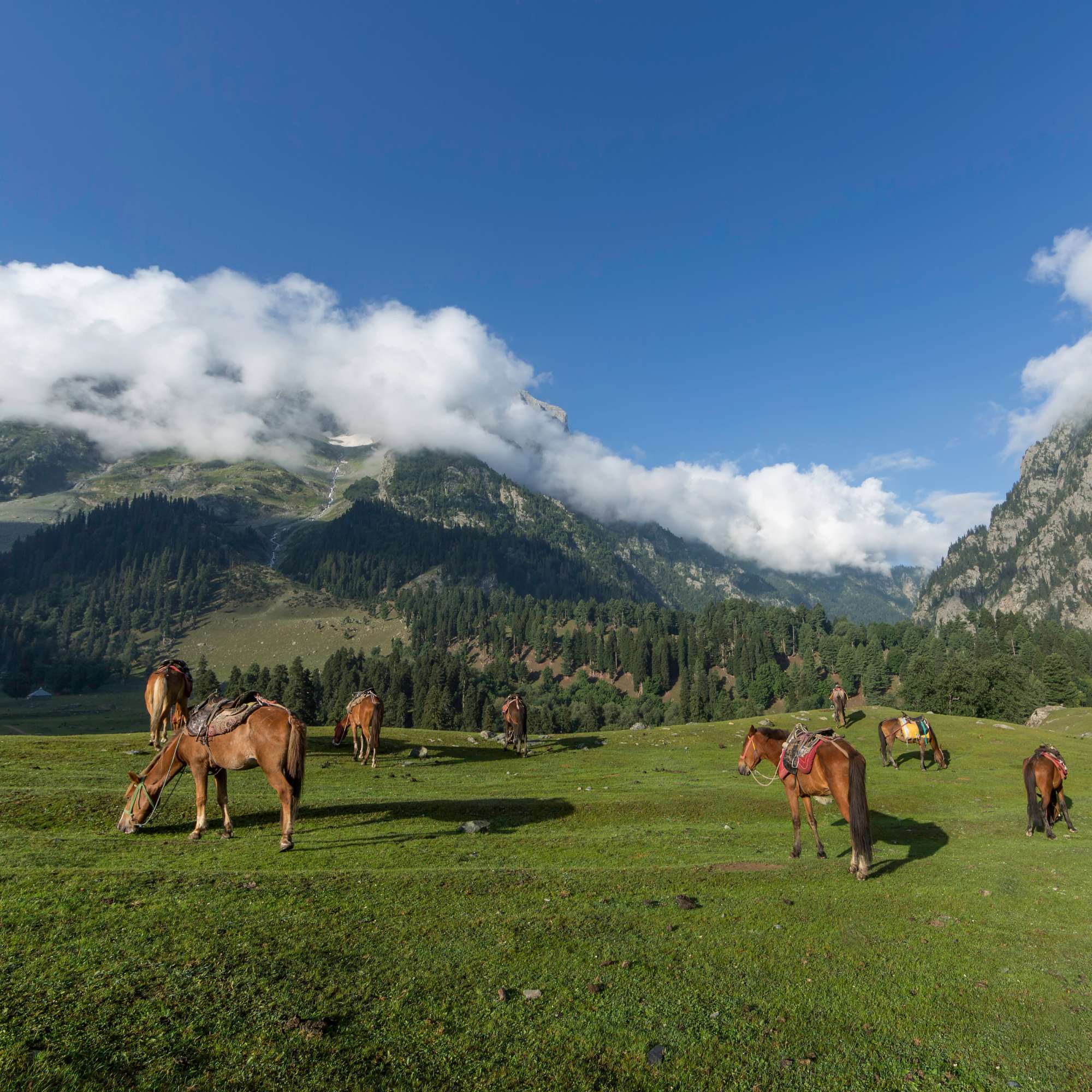 Sonamarg