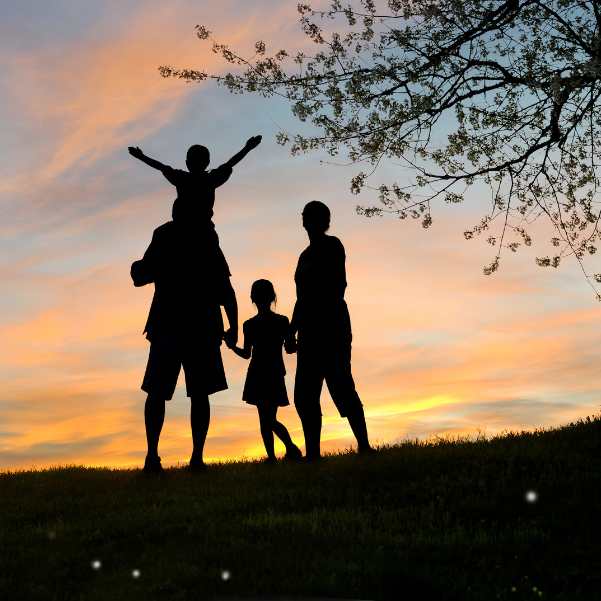 Best Time for Family Trips.jpg