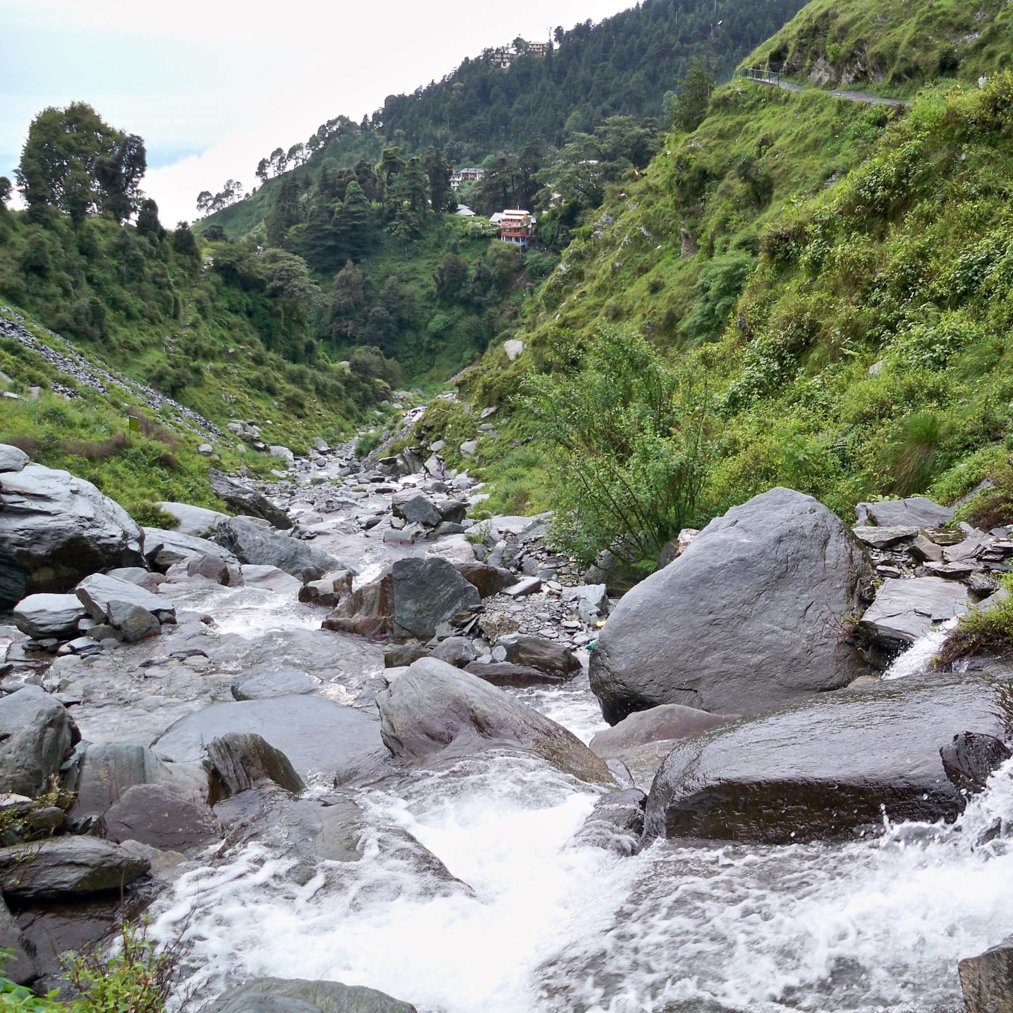 Scenic view of Bhagsu Waterfall in Dharamshala.jpg