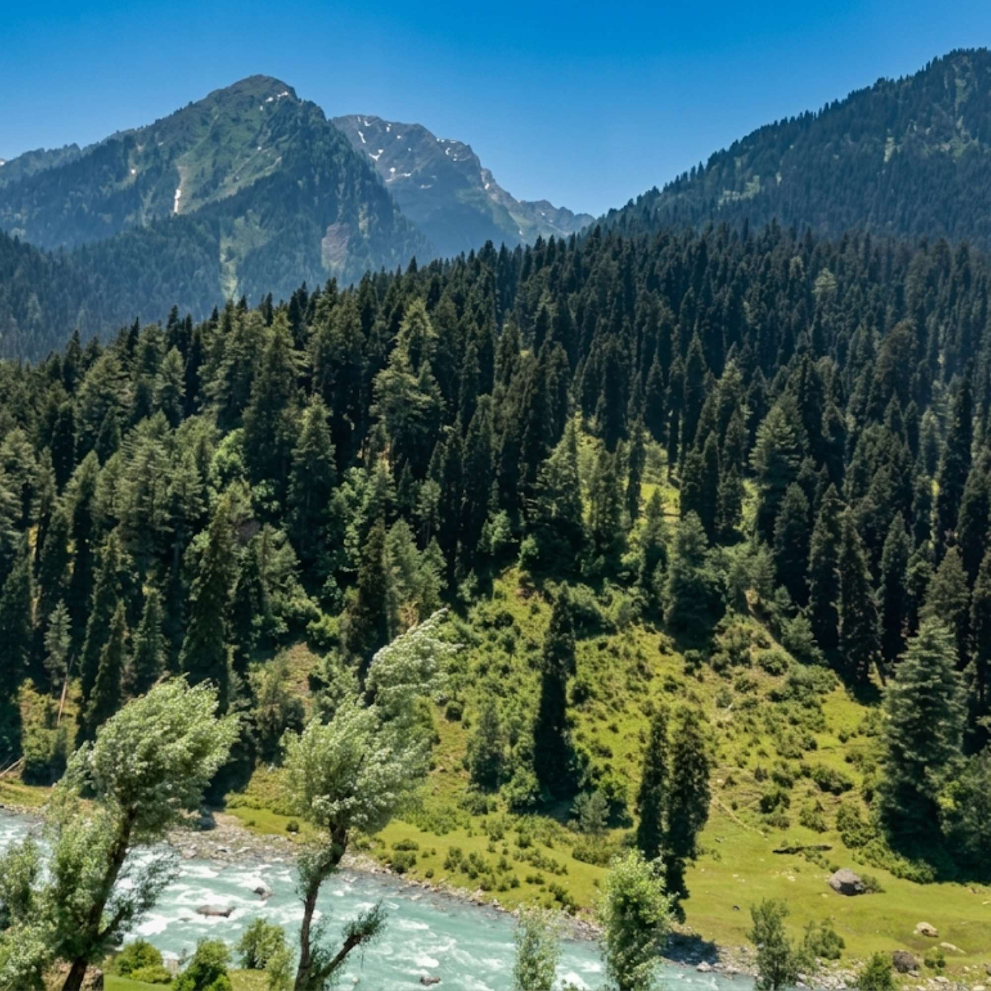 River Flowing Through the Beautiful Aru Valley Kashmir.jpg