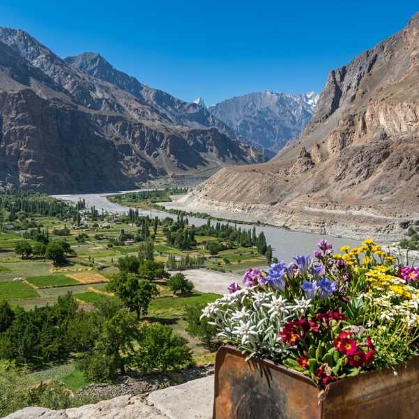 Nubra Valley in August.jpg