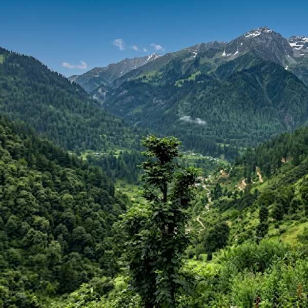 How Many Days Are Enough for Kasol.jpg