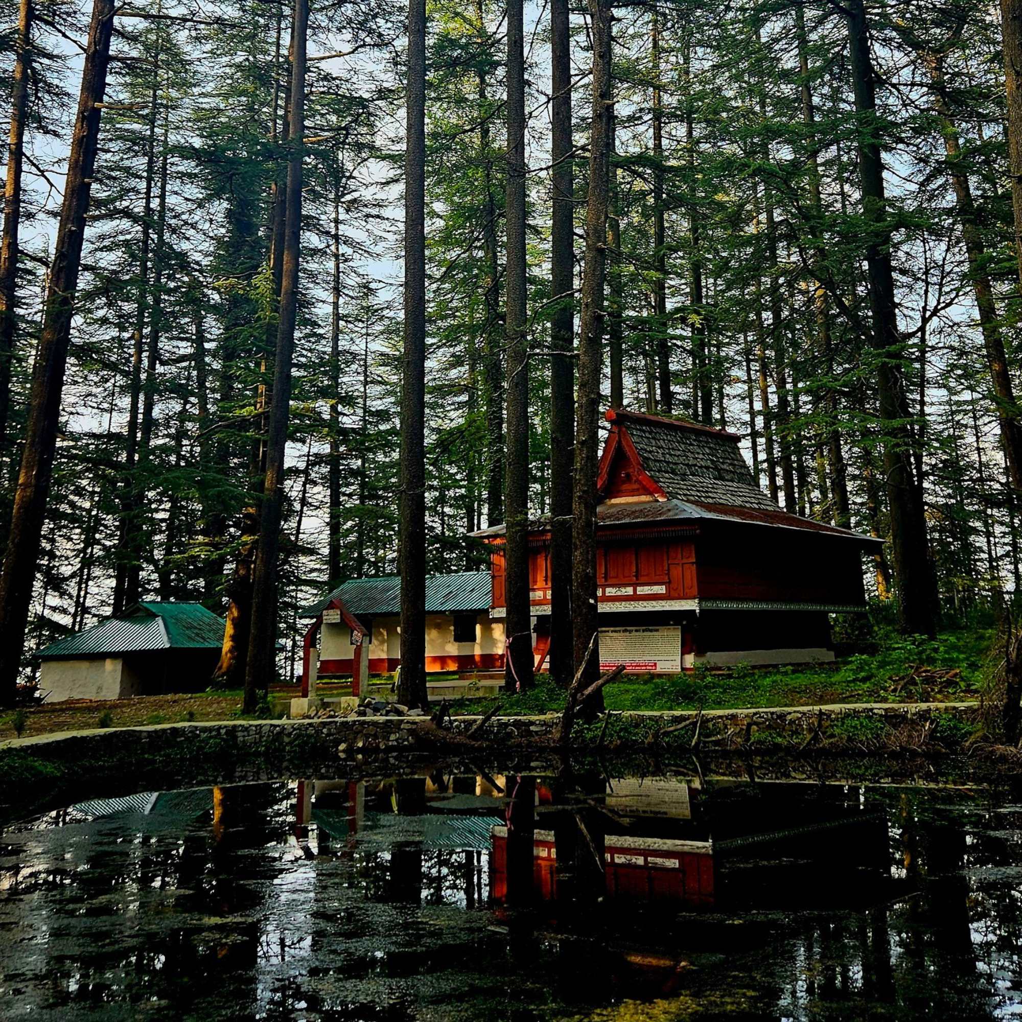 Dense pine forests and mountains in Mashobra Himachal Pradesh.jpg