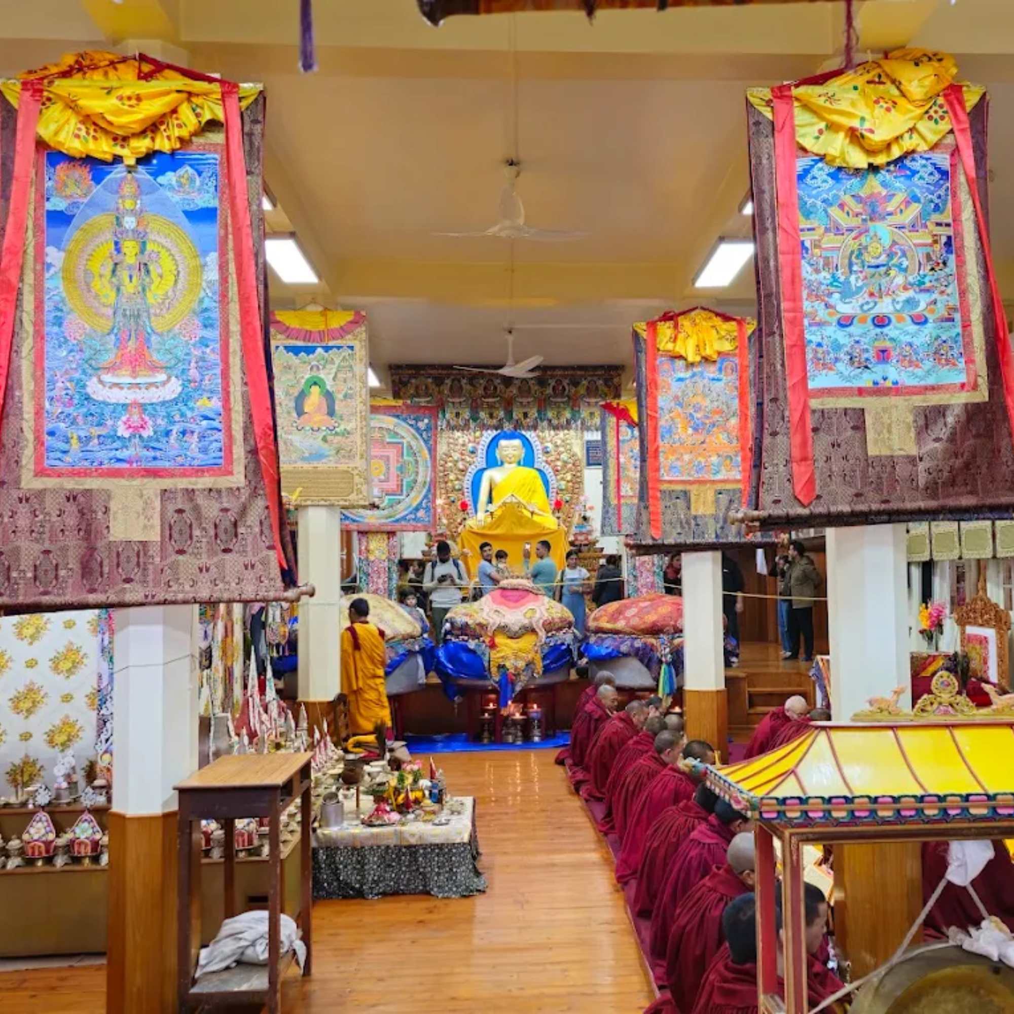 Dharamshala trip cost