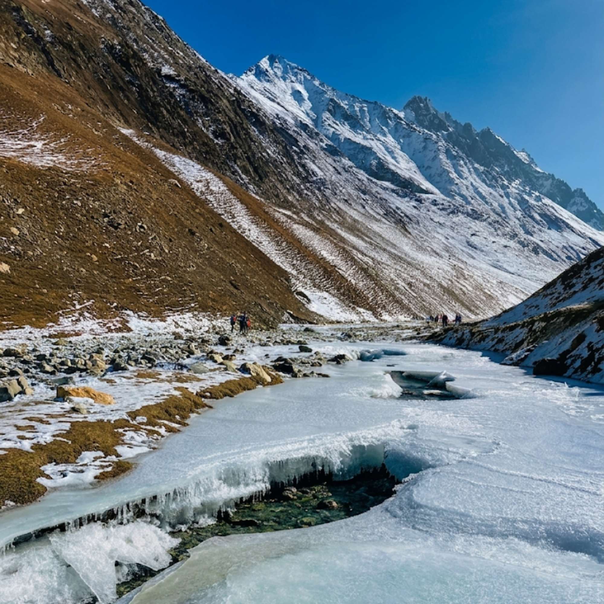 Kashmir in February
