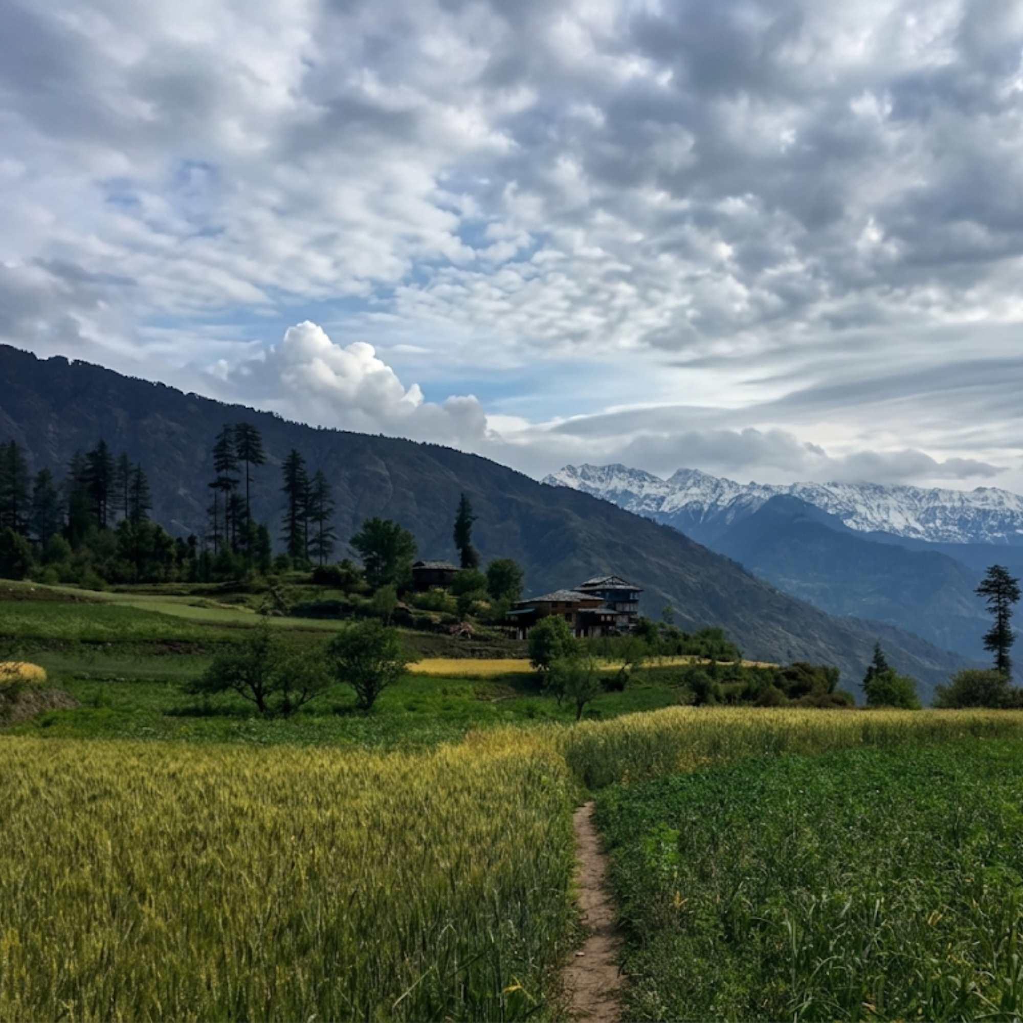 Nahi Village