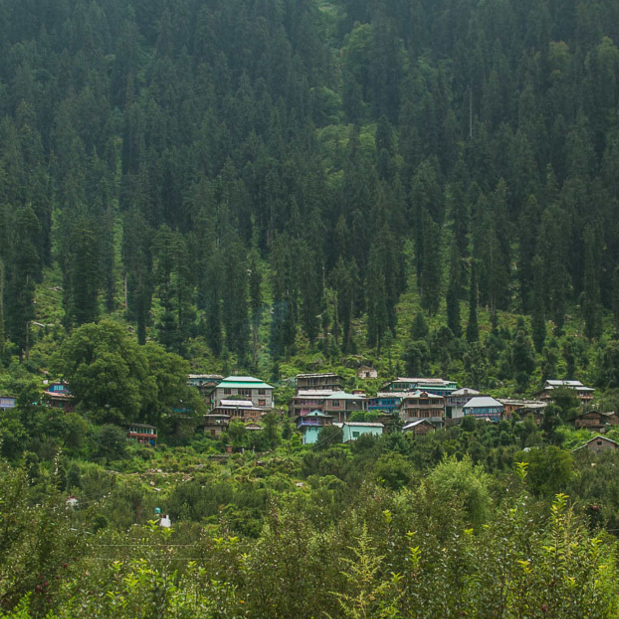 Dehuri Village (Deohari)