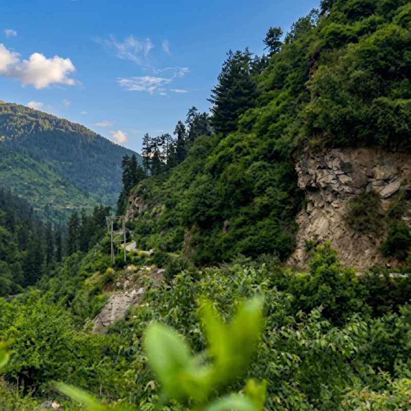 Barshaini