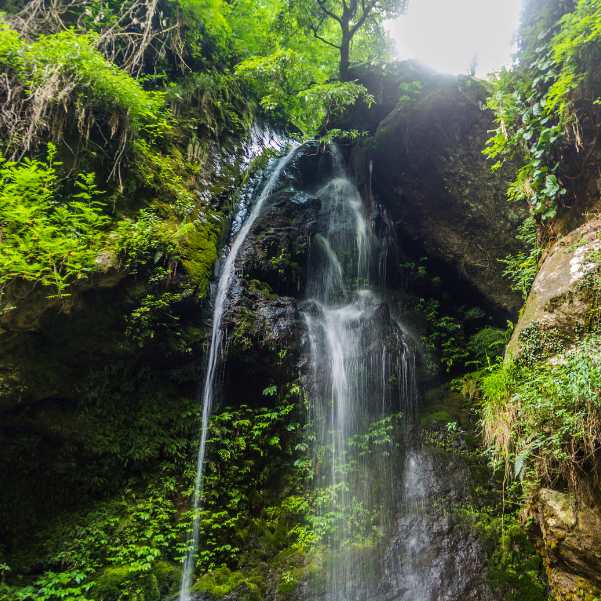 Walk to Jibhi Waterfall Together.jpg