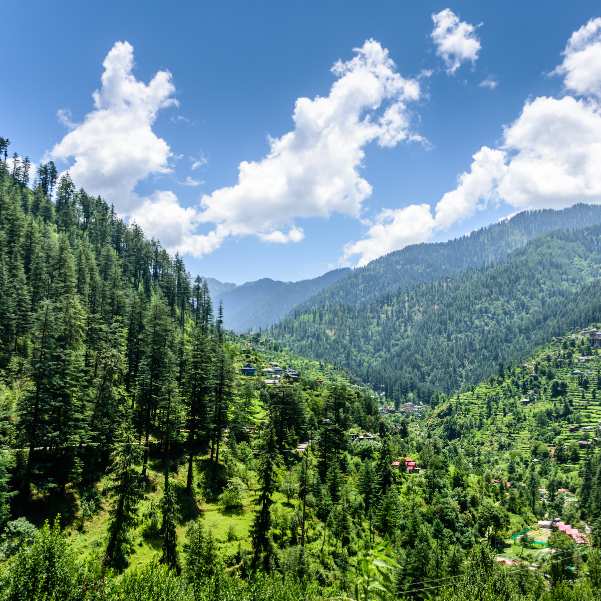 Tirthan Valley.jpg