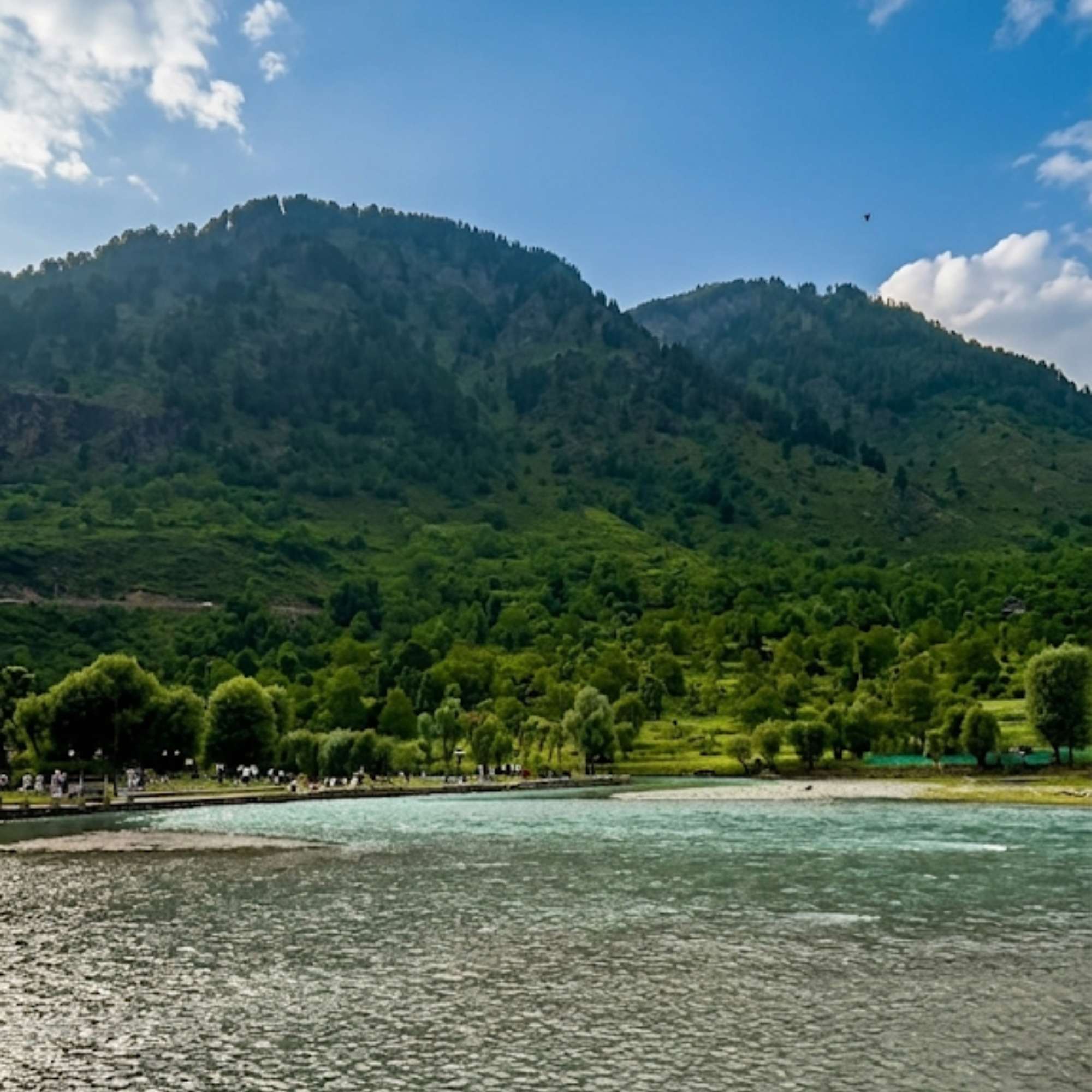 Panoramic View of Betaab Valley with Pine Forests.jpg