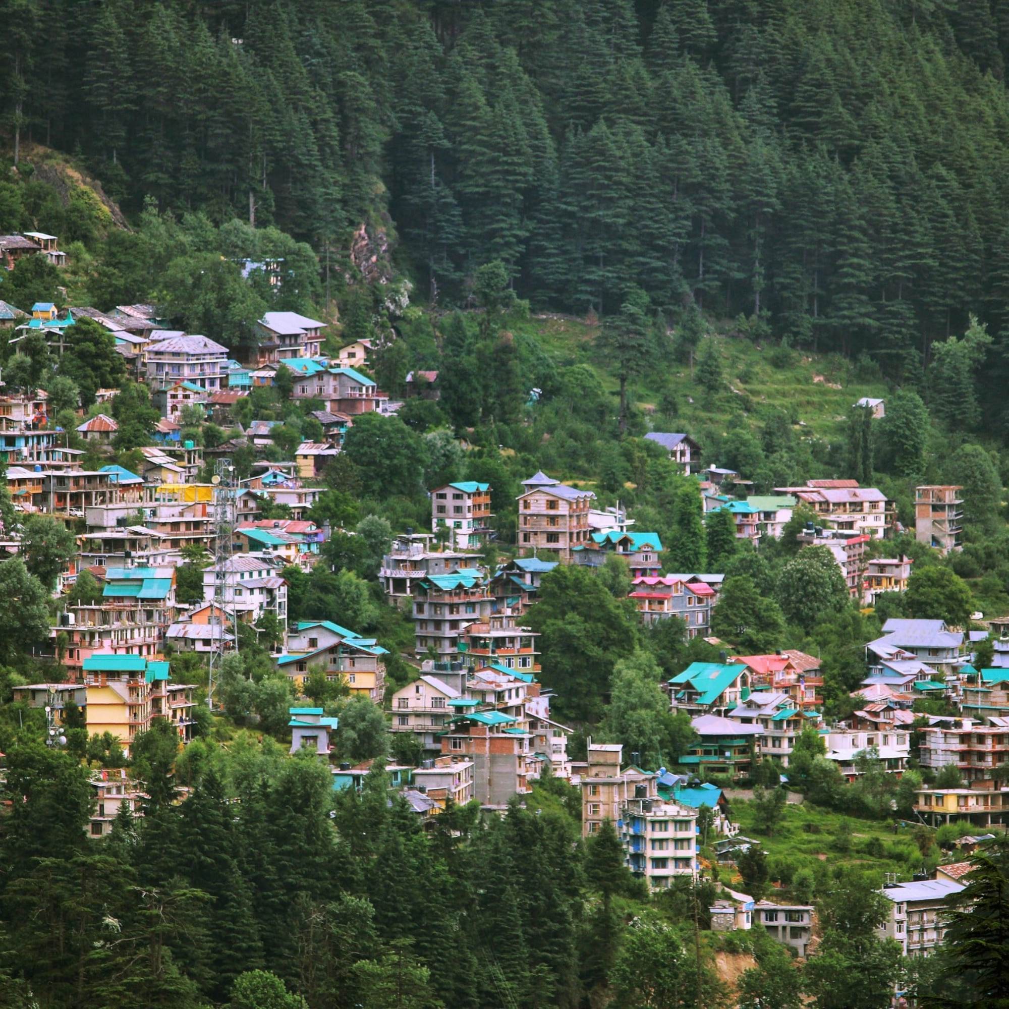 Old Manali mountain view.jpg