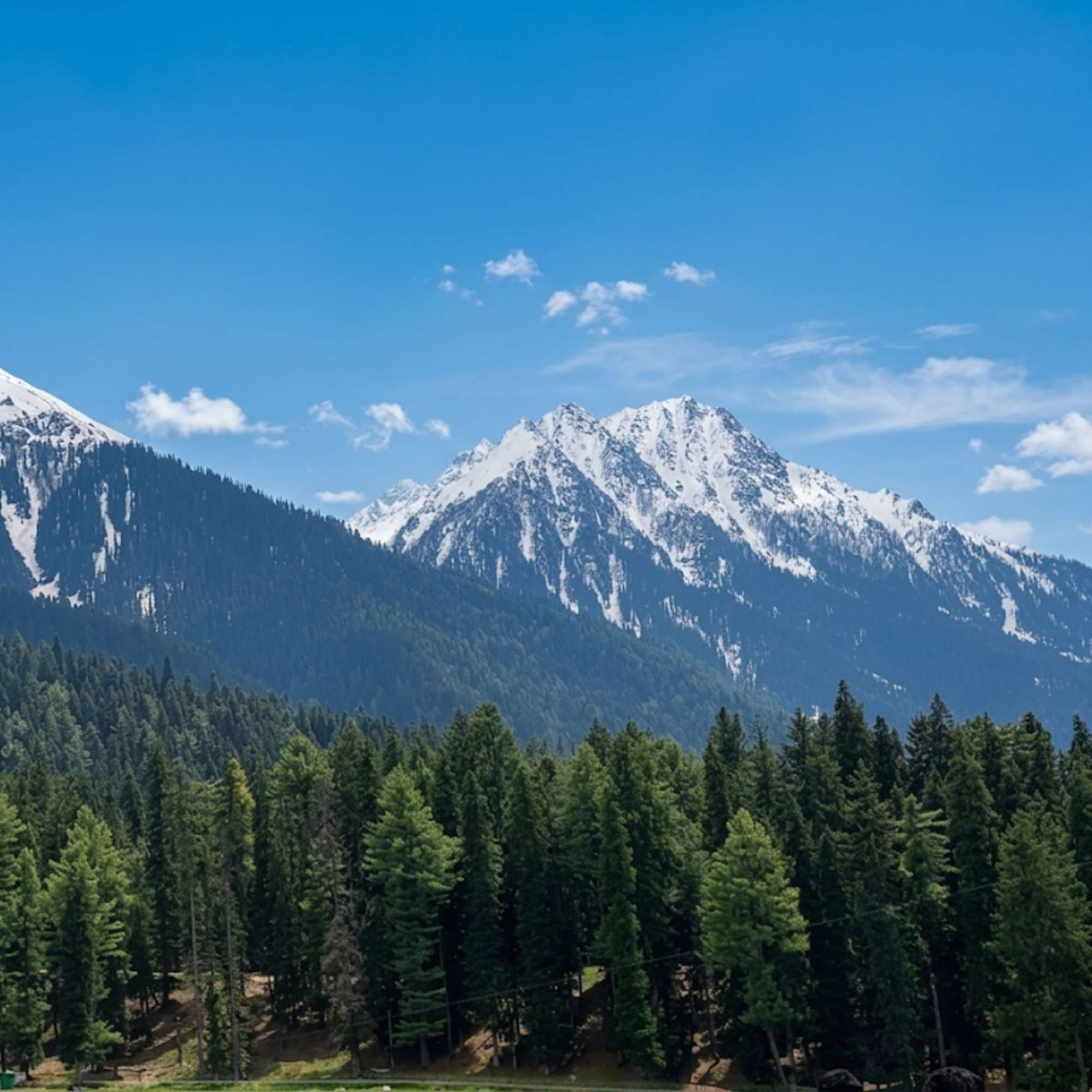 Is Kashmir in December Suitable for Families, Children and Seniors?