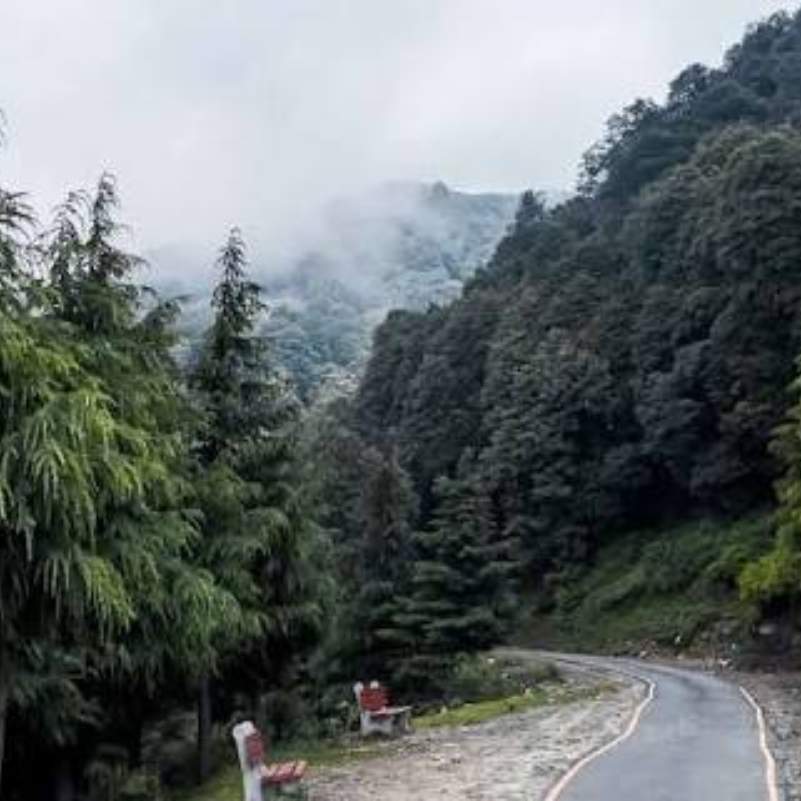 How to Reach Bir Billing from Dharamshala.jpg