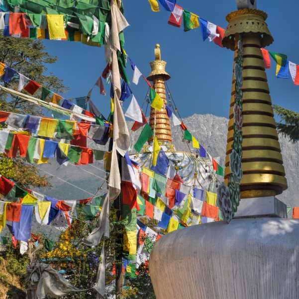 Tsuglagkhang Complex (2).jpg